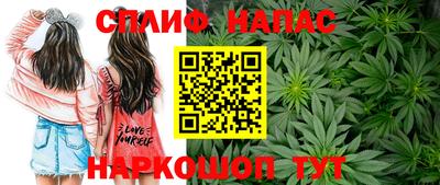spice Шебекино