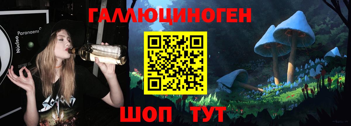 Галлюциногенные грибы мухоморы Братск