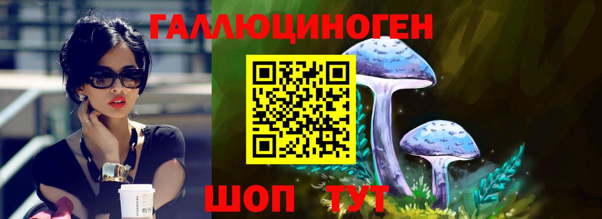 Галлюциногенные грибы GOLDEN TEACHER  Галлюциногенные грибы мицелий  Вход с VPN  Братск 